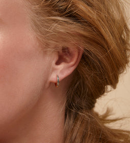 Lux earrings