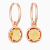 Mira Mira earrings